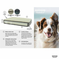 Orthopedisch kussen ca.55x45cm Grey